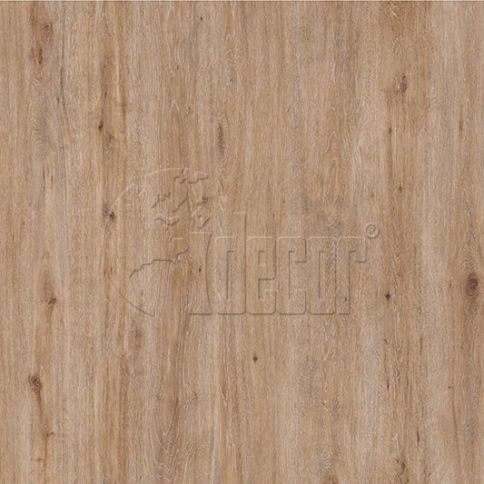 sturdy birch wood paper series for drawing room-2